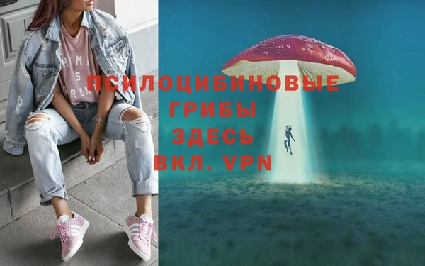 стафф Баксан