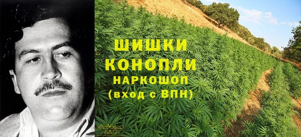 MESCALINE Белокуриха