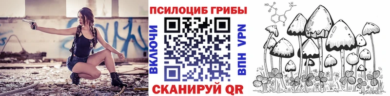 МЕГА ТОР  купить наркотики цена  Реутов  Псилоцибиновые грибы мицелий 